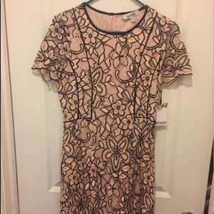 NWT!KENSIE!PINK BLACK LACE DRESS SPRING PERFECTION